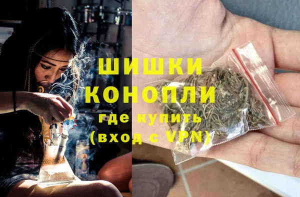 Альфа ПВП Белокуриха